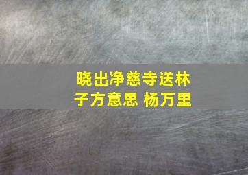 晓出净慈寺送林子方意思 杨万里